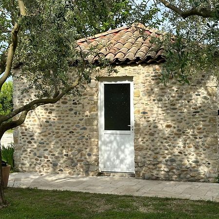 Maisonnette Independante Au Calme Dans Un Grand Jardin Châteauneuf-du-Rhône Buitenkant foto