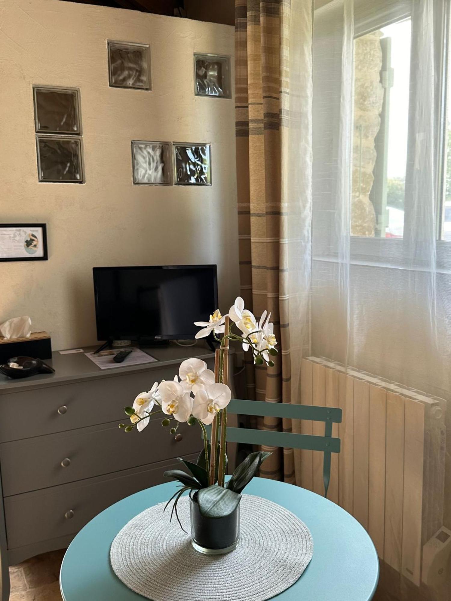 Maisonnette Independante Au Calme Dans Un Grand Jardin Châteauneuf-du-Rhône Buitenkant foto