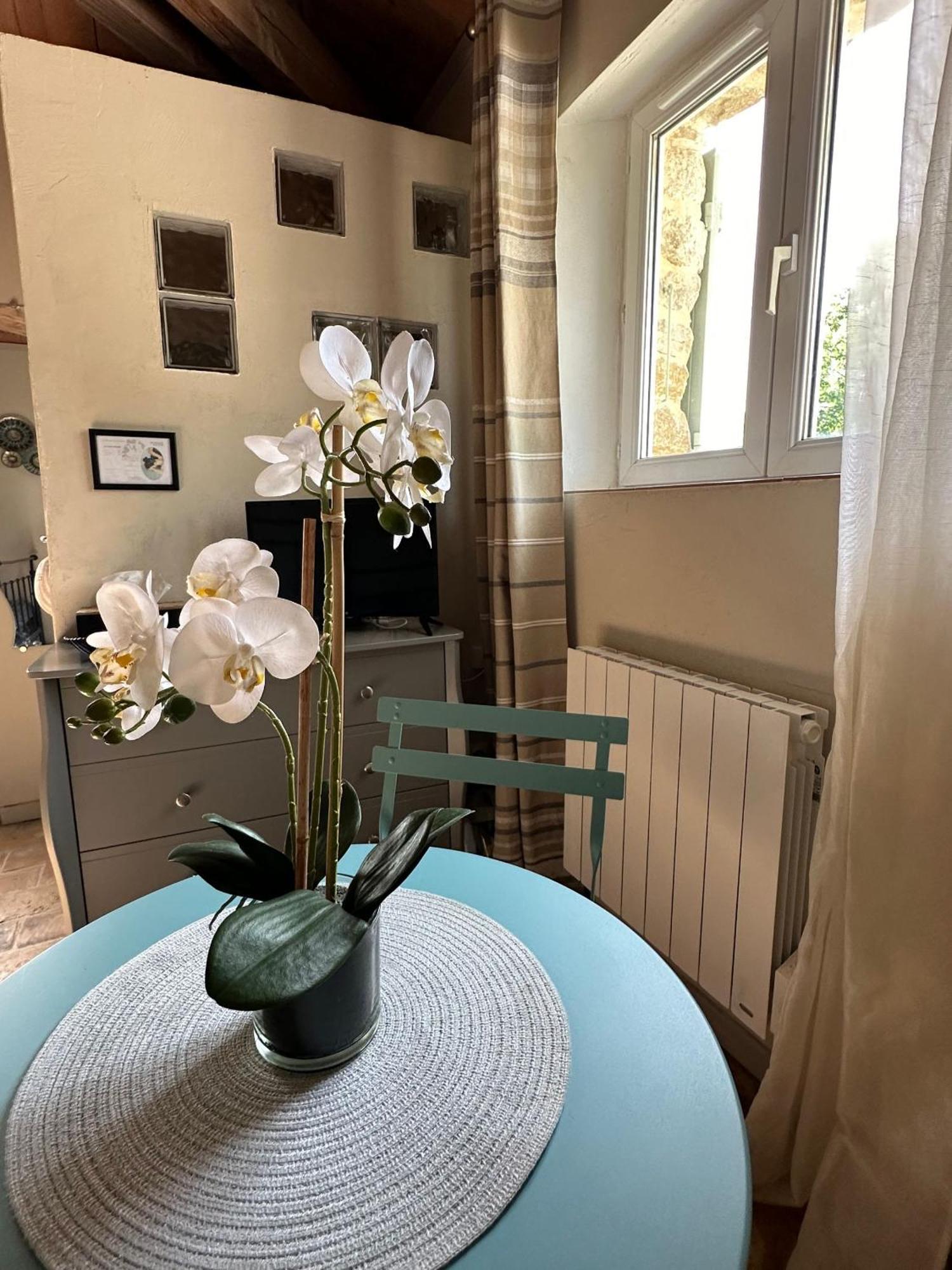 Maisonnette Independante Au Calme Dans Un Grand Jardin Châteauneuf-du-Rhône Buitenkant foto