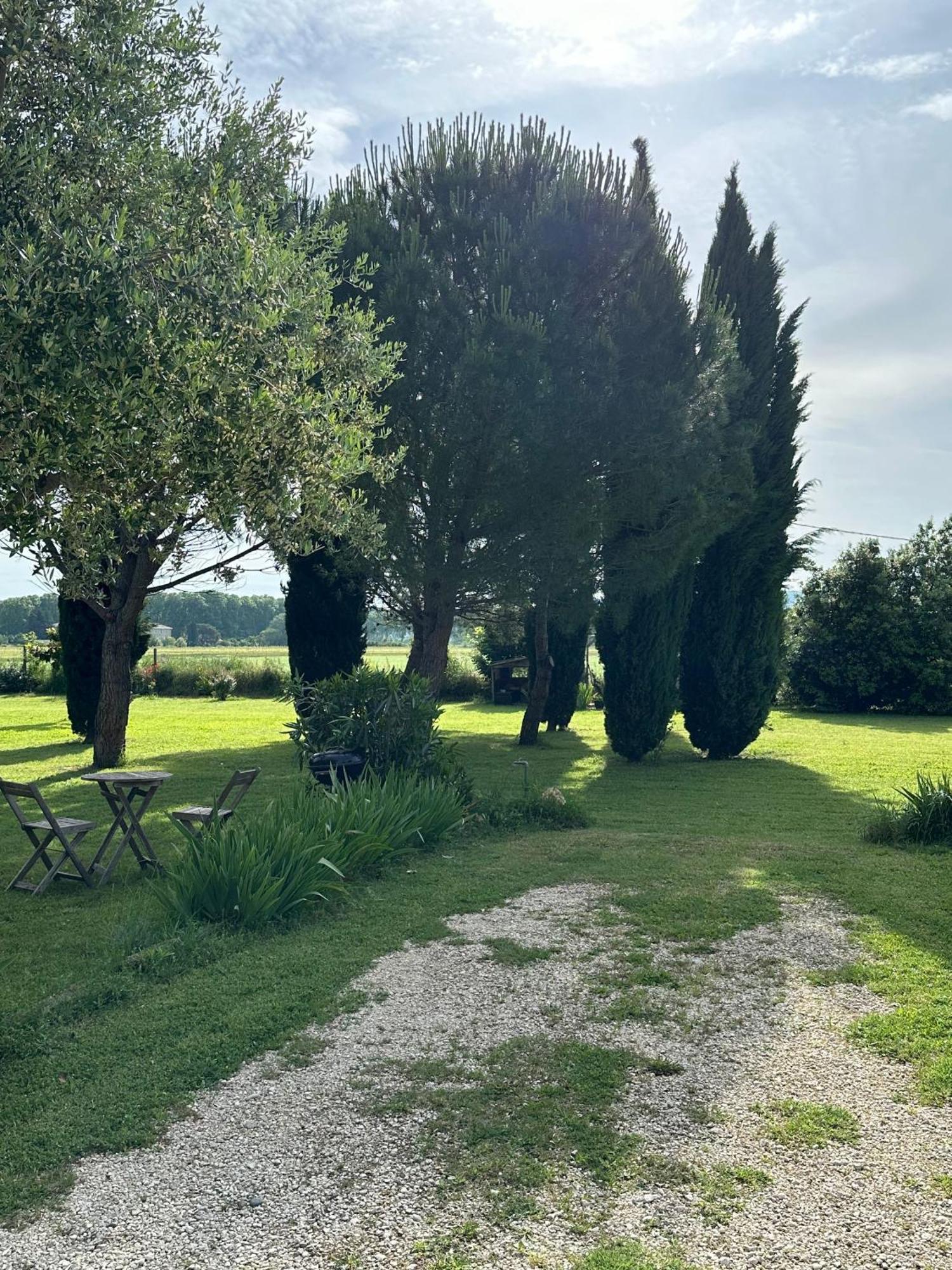 Maisonnette Independante Au Calme Dans Un Grand Jardin Châteauneuf-du-Rhône Buitenkant foto